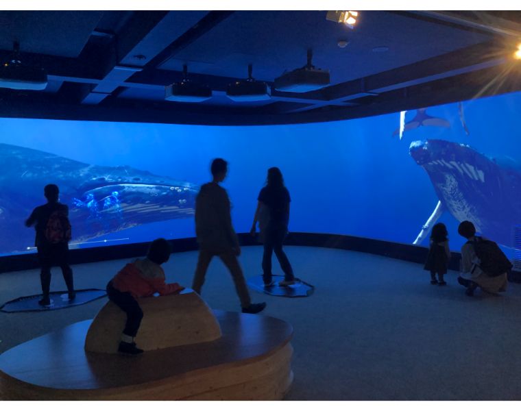 ポルトドレ水族館の館内